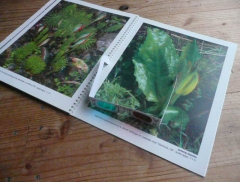 �t�@���g�O����