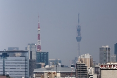 �X�J�C�c���[