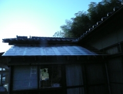 �����C���R