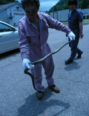 �����������傤