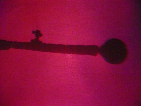 �R�c�@�f�B�X�J�o���[��