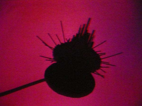 �R�c�@�}�U�[�V�b�v