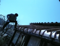 �����C���P