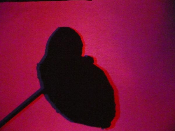 �R�c�@�C�g�J��