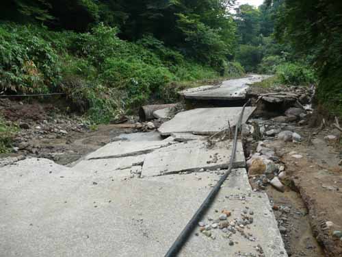 �y���ЊQ�P���H�זv