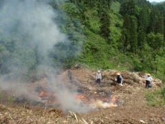 �Ă����Γ���