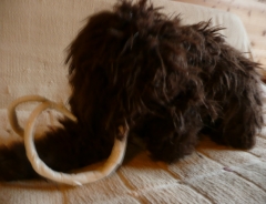 �}�����X