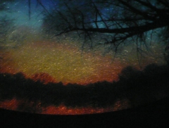 �f�W�^�����e