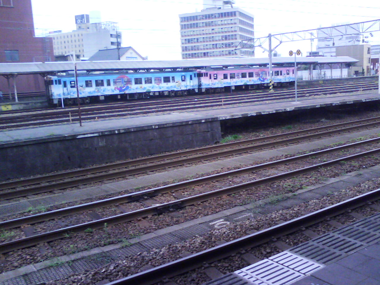 �n�b�g��������