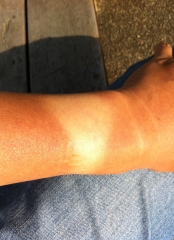 �r���v�̏Ă���