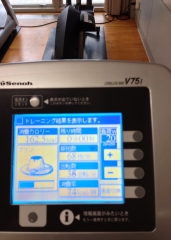 �G�A���o�C�N�̉��