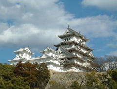 �P�H����C�O